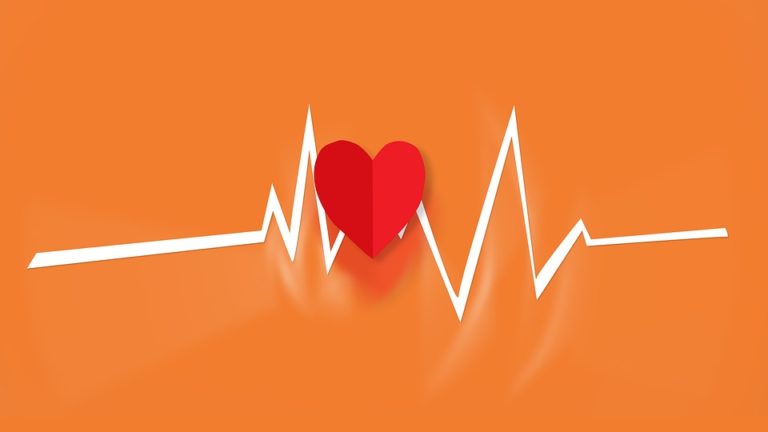 Jak dodává předseda českých kardiologů prof. Linhart, koronavirová pandemie zbrzdila v prvním čtvrtletí poskytování plánované kardiologické péče, což se může projevit nárůstem komplikací v pozdější době. Foto: pixabay