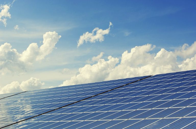 Stejně jako solární energetika tápe ve využití energie ze Slunce, tak se stále hledá řešení problematiky s energií u flóry. Foto: pixabay