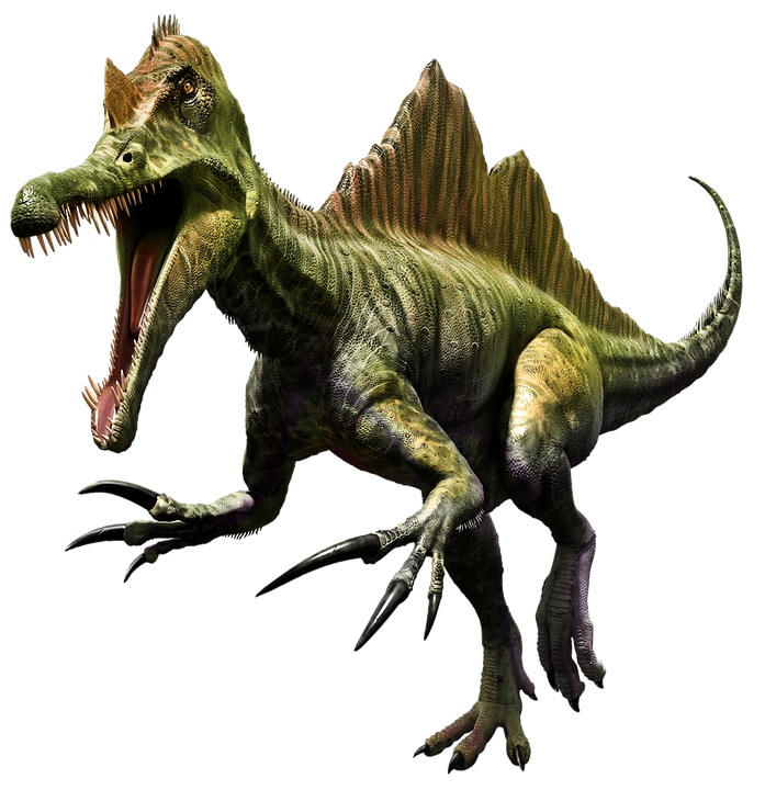 V současnosti je obecně považován za nejdelšího známého dravého dinosaura. Foto: pixabay