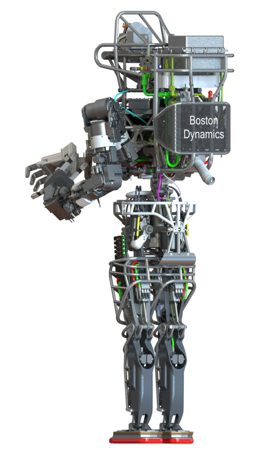Atlas byl vyrobený z hliníku a titanu, měřil kolem 1,88 m, vážil 150 kg, a na šířku ramen měl 0,76 m. Od roku 2013 až do roku 2017 spadala firma Boston Dynamics pod společnost Google, a tak robot prošel celkovou proměnou - prodělal upgrade, při němž dostal až 75 % nových dílů. Foto: ThaddeusB / Creative Commons / PD US DARPA