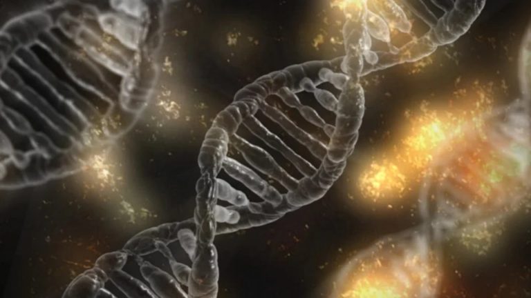 Metoda zahrnuje zavádění cizích genů do daného organismu. Foto: pixabay