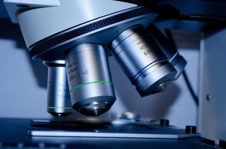 Do vývoje mikroskopů zasáhli v 17. století i Galileo Galilei, Christian Hugyens a britský geolog Robert Hook, který nejenom popsal mikroskop, ale také doložil svou práci řadou vyobrazení získaných při pozorování pomocí mikroskopu. Foto: pixabay