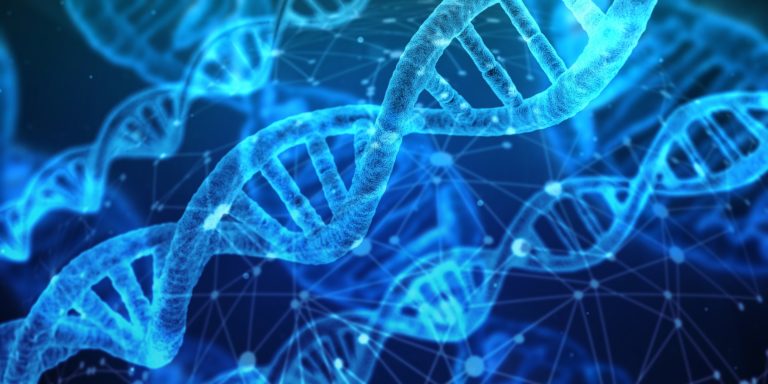 Výzkumy DNA z lidských koster někdy přinášejí překvapivé závěry. FOTO: pixabay