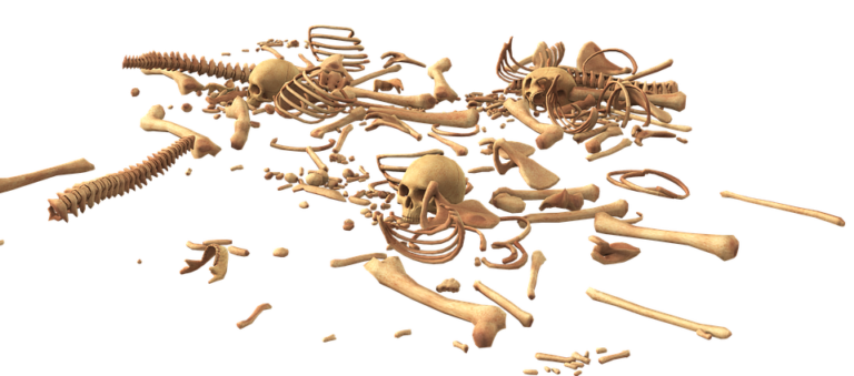 Podařilo se jim tam objevit hrob válečníka ze starší doby železné. Foto: pixabay