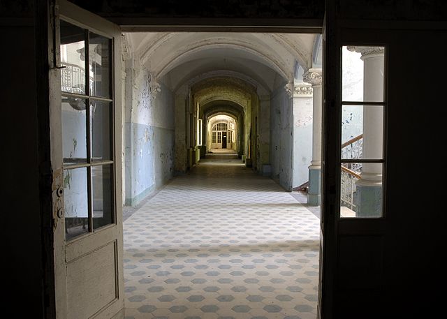 Kdysi rušné chodby jsou dnes pusté, kromě návštěv nezvaných hostů.(Foto: Chad W. / commons.wikimedia.org / CC BY 2.0)