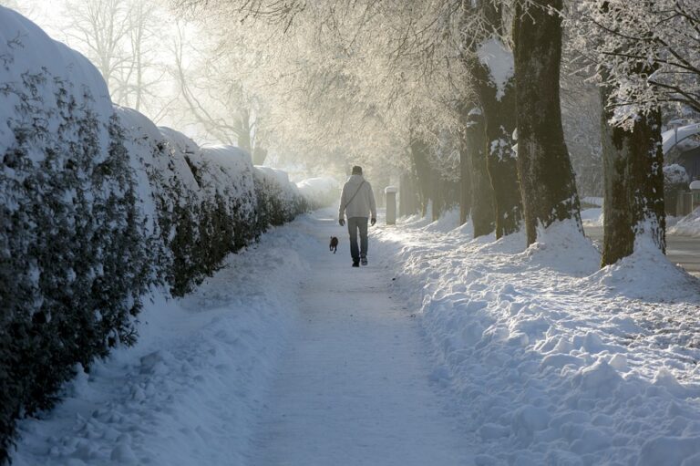 Není vůbec špatné se v zimě zout a projít se po pořádné vrstvě sněhu. Ale dá se to zvládnout? Lidské tělo na tento chlad reaguje a snaží se pokrýt tepelné ztráty. Foto: Pixabay