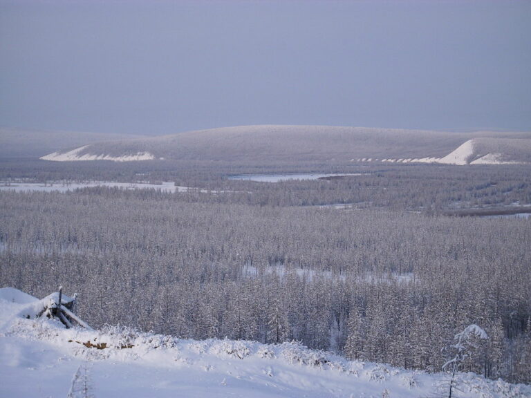 První z překážek, které by museli uprchlíci v mizerném oblečení překonat, tvořily teploty v sibiřské tajze, které v zimě padaly pod mínus 40 stupňů. FOTO: Becker0804, Public domain, via Wikimedia Commons