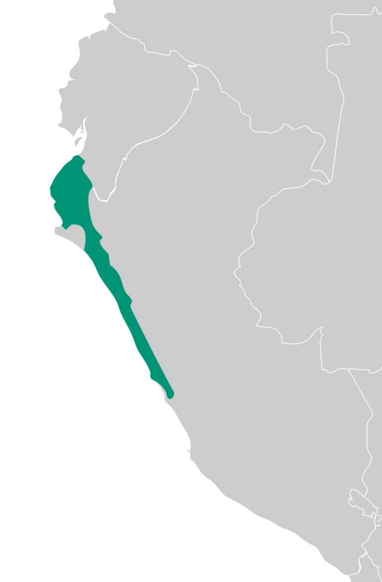 Říše Chimů se nacházela na území dnešního Peru. FOTO: QQuantum/Creative Commons/CC BY-SA 4.0