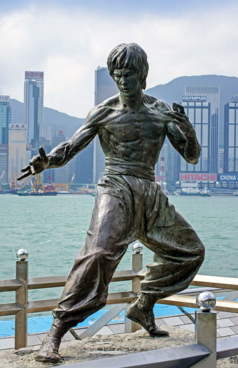 „Vezměte to nejlepší ze všech bojových umění, to nepoužitelné zahoďte“, hlásá Bruce Lee. Foto: pxfuel