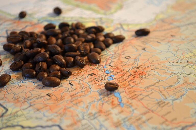Etiopie je proslavená jako domov arabiky, jednoho ze světově nejoblíbenějších druhů kávy. Foto: pxfuel
