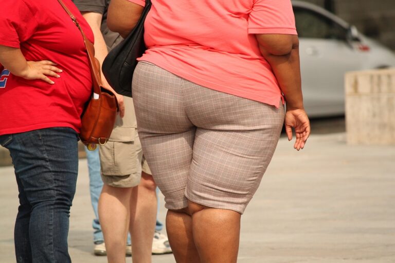 S obezitou bojuje podle posledních zpráv více než 40 % dospělých Američanů. Foto: Pixabay
