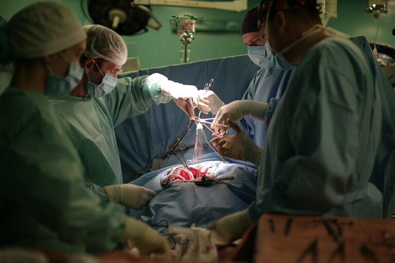 Americkým lékařům se povedla historická operace. Foto: Lena Gulenko / Creative Commons / CC-BY-4.0
