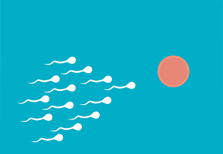 Specialisté ale zatím nepotvrdili, že by bylo sperma infekční, a partneři se tak mohli nakazit během pohlavního styku. Foto: Pixabay