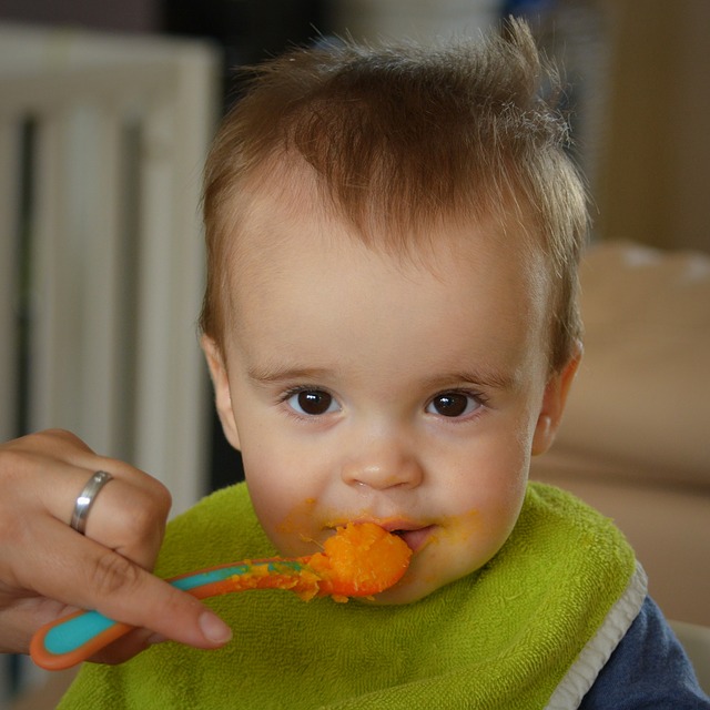 Zelenina v příkrmech děti málokdy nadchne. (Foto: Ben Kerckx / Pixabay)
