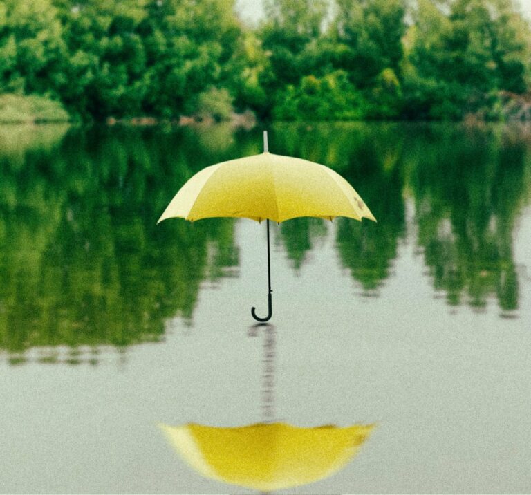 Základem současných deštníků jsou kvalitní materiály. Foto: unsplash