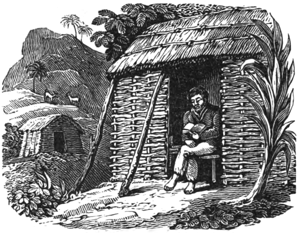 Trosečník Selkirk tráví čas na ostrově i čtením Bible. FOTO: Creative Commons/Public Domain