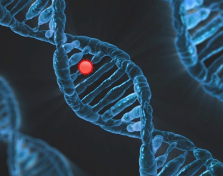 DNA je biologická makromolekula – polymer v podobě řetězce nukleotidů. Foto: Pixabay