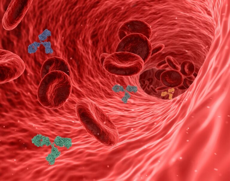 Novinkou EUC Laboratoří je vyšetření buněčné imunity proti koronaviru. Foto: Pixabay