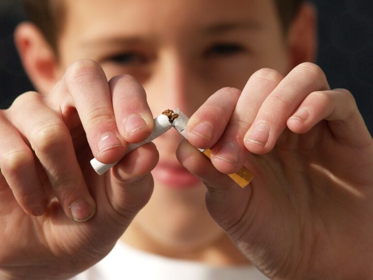 K nejčastějším rizikům spojených s inhalací tabákového kouře patří poškození plicních dýchacích cest. Foto: Pixabay