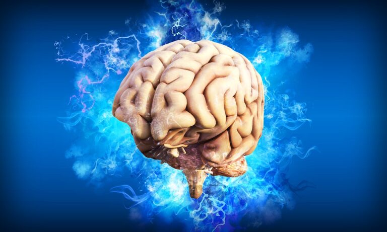 Problematické taky je, že vědci doteď stoprocentně nevědí, jak paměť v mozku funguje. Foto: Pixabay