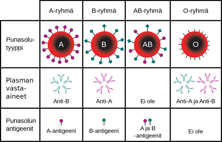 Rozdělení do čtyř krevních skupin - Tabulka přítomných antigenů a protilátek (krevních skupin systému AB0). FOTO: InvictaHOG (original)SMAUG (translation)/Creative Commons/CC BY-SA 4.0