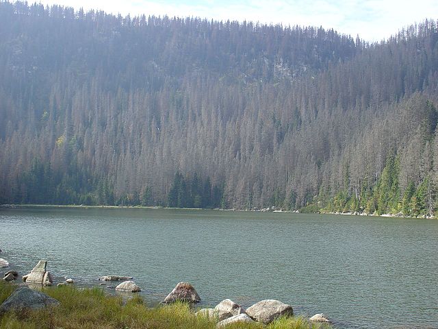 Plešné jezero na Šumavě je ledovcového původu.(Foto: RocheDirac / commons.wikimedia.org / CC BY-SA 3.0)