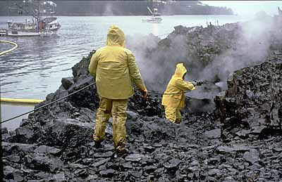 Dobrovolníci marně bojovali o to, aby pobřeží zasažené tunami ropy vyčistili. FOTO: Neznámý autor / Creative Commons / volné dílo