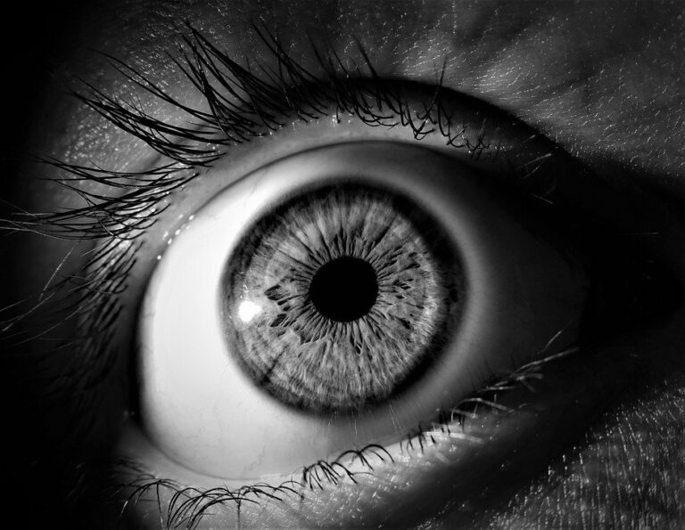 Jedná se o velmi nenápadnou oční vadu, kterou dokážou odhalit jen pravidelné lékařské prohlídky. Foto: Pixabay