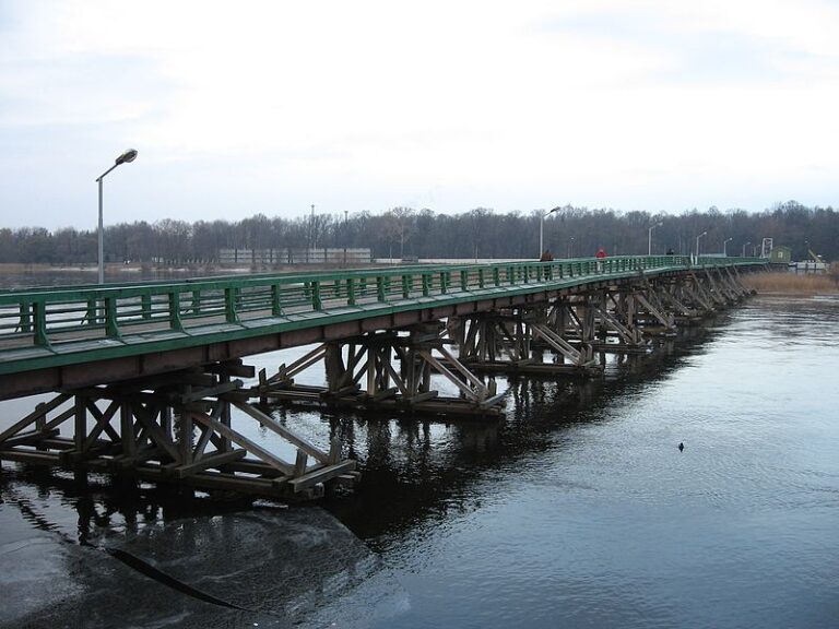 Ze dřevěného mostu Rasputina svrhnou do studené vody.(Zdroj: Dr. Bykov / wikimedia.commons.org / Volné dílo