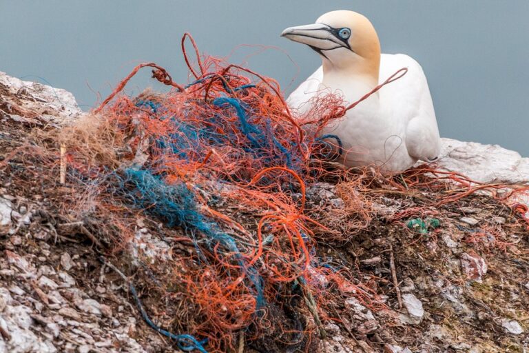 Mikroplasty se hromadí v oceánech, kde ohrožují životní prostředí. Foto: Pixabay