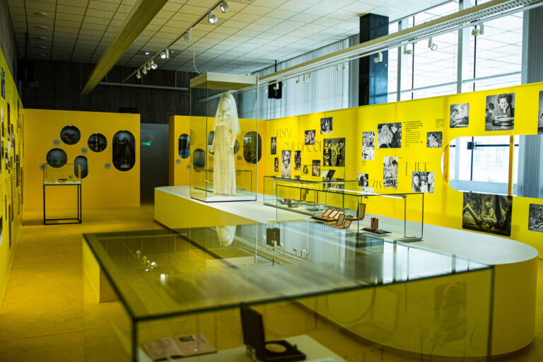 Výstava je k vidění v Nové budově Národního muzea od 6. května do 30. září 2022. Foto: nm.cz