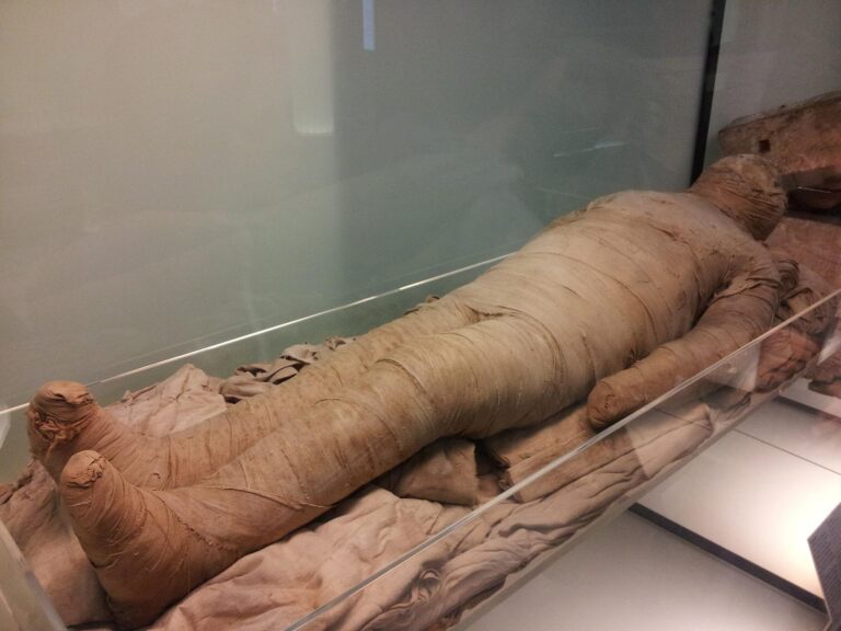 Egyptské mumie jsou proti těm portugalským „mlaďoši.“ FOTO: pixabay