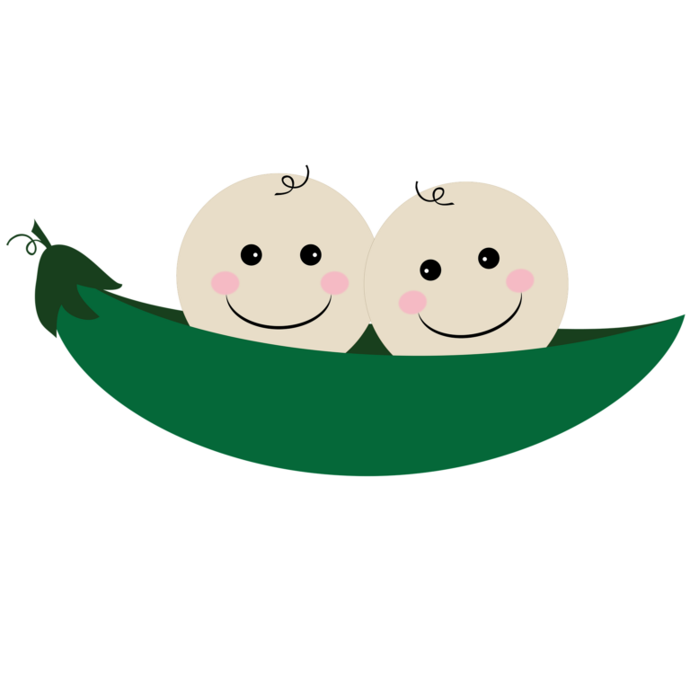 Když se zkříží dva různé hrášky, jaké asi budou mít potomky? Díky této myšlence vznikne celá genetika! Foto: kparsson/ Pixabay.