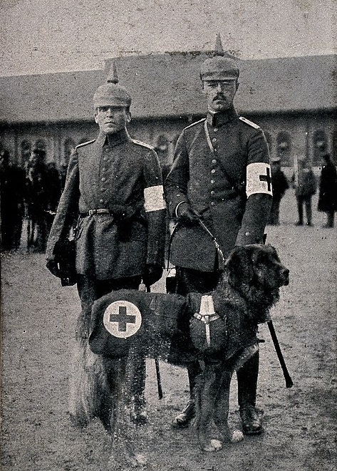2 Sanitáře doprovází pracovní pes Červeneého kříže. FOTO: https://wellcomeimages.org/indexplus/image/V0015694.html/Creative Commons/CC BY 4.0