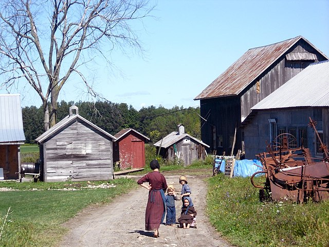 Žijí a oblékají se prostě, amišské děti se učí pomáhat na farmě už od útlého dětství.(Foto: ilamont.com / commons.wikimedia.org / CC BY 2.0)