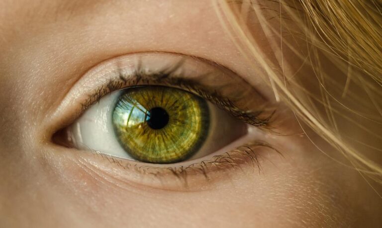 Obrazně můžeme říci, že na využití umělého oka si musíme počkat dalších dvacet let. Foto: Pixabay