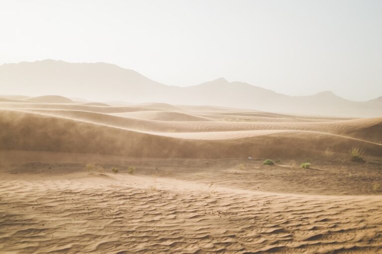 Dělí se na pouště kamenité s tyčícími se holými skalisky - hamada (lze se s ní setkat např. v severozápadní Libyi), štěrkové, resp. oblázkové – serir či reg (převažují na Sahaře), hlinité – sebh (tvoří pouhé 1 % Sahary) a písečné – erg (Libye, západní Sahara, Niger). Foto: Pixabay