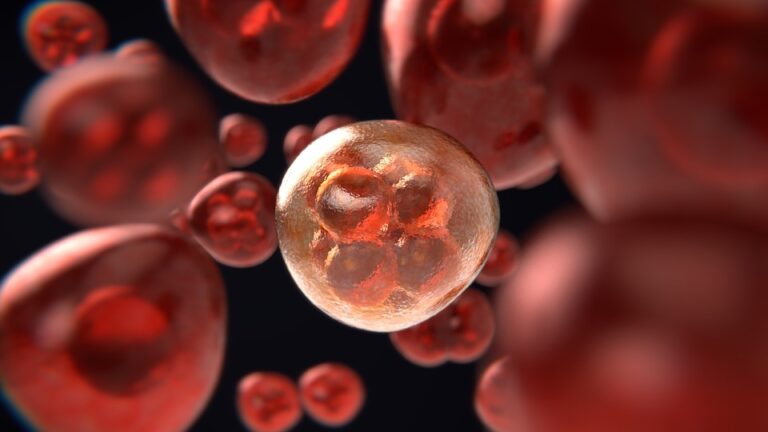 Nádorové buňky mají celou řadu „fíglů“, jak oklamat buňky imunitního systému, a tím odvrátit pozornost jinam. Foto: Pixabay