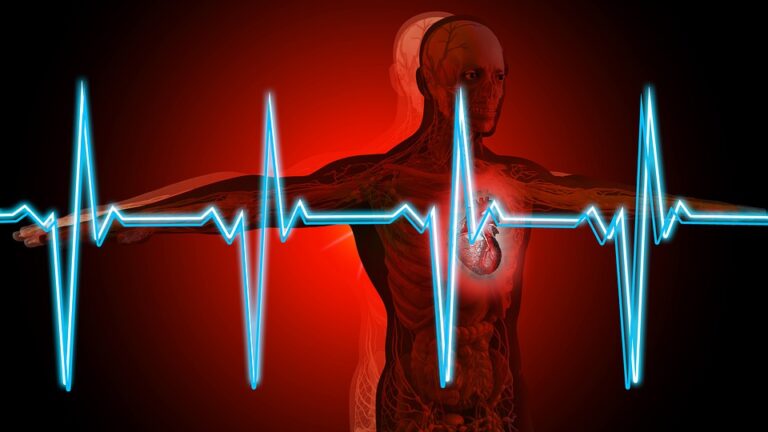 V této fázi nemoci ji již nelze ukončit kardioverzí. Foto: Pixabay