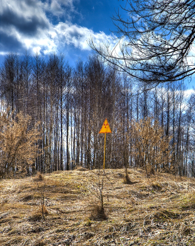 Tvor podobný čupakabře byl pozorován i v krajině poblíž černobylské jaderné elektrárny¨. FOTO: Timm Suess / Creative Commons / CC BY-SA 2.0