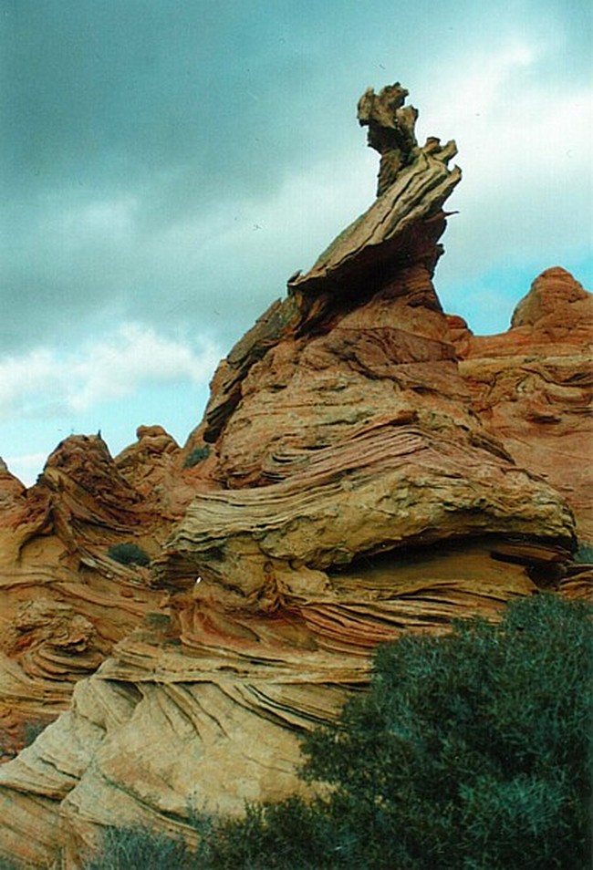 V Coyote Buttes je k vidění řada zajímavostí a to i včetně takto bizarních útvarů.(Foto: DrippingGoofball / commons.wikimedia.org / CC BY 2.5)