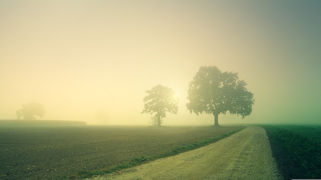 Ranní mlhy se někdy udrží po celé dopoledne. (Foto: Joe / Pixabay)