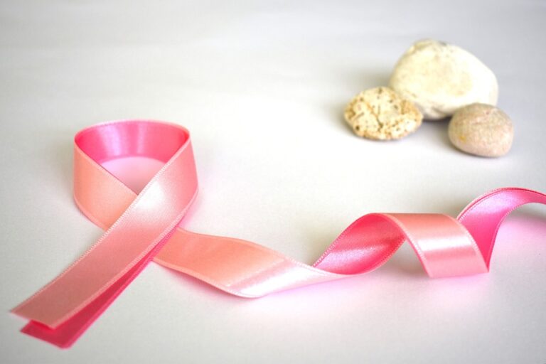 Rakovina prsu má řadu typů a různé systémy klasifikace, které obvykle obsahují přes 2 až 3 desítky různých prsních karcinomů. Invazivní formy karcinomu se dělí na duktální (ty jsou nejčastější) a lobulární. Foto: Pixabay