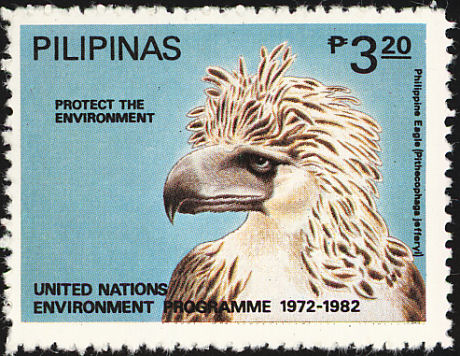 Evoluce na filipínských ostrovech, bez dalších predátorů, učinila z orlů dominantního lovce v tamních pralesích. Foto: Materialscientist / Creative Commons / PD-PhilippinesGov