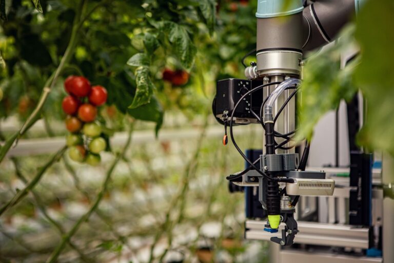 „Rajčatový“ robot je pečlivý jako nejlepší zahradník.