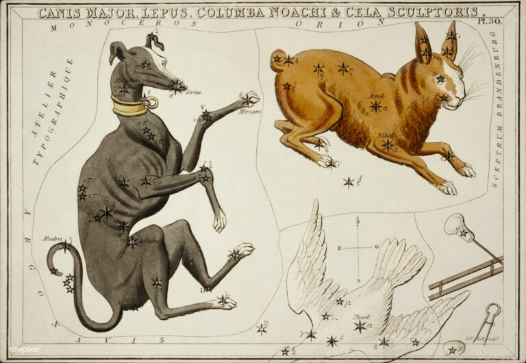 Sírius je součástí souhvězdí Velkého psa. Jeho bílomodrou zář uvidíte z každého obydleného místa na Zemi. Foto: European Southern Observatory / Creative Commons / CC BY 2.0.