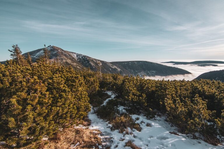 Sněžka je s výškou 1603 m n. m. nejvyšší horou České republiky, na zdolání není příliš náročná, ti méně zdatní mohou využít lanovku až na vrchol. Foto: Pixabay