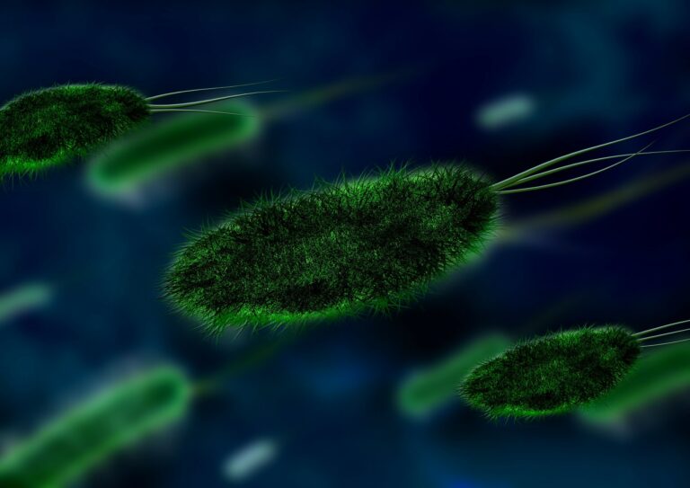 Mikrobi mohou žít i stovky milionů let! Foto: Geralt / Pixabay.