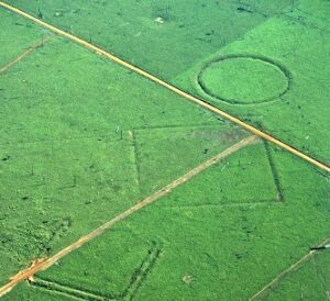 Podivné valy ve vymýceném pralese: Amazonie ukrývá geoglyfy z roku nula
