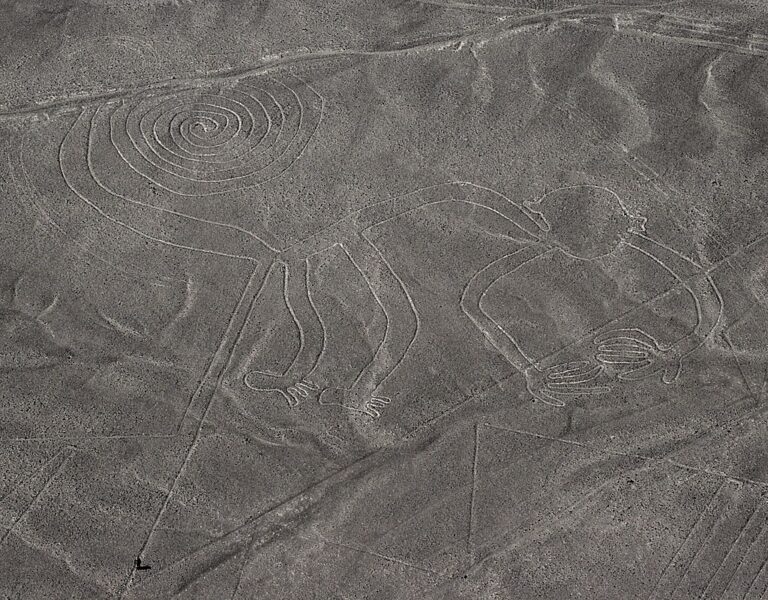 Tento obrazec na planině Nazca má symbolizovat opici. FOTO: Markus Leupold-Löwenthal/Creative Commons/CC BY-SA 3.0